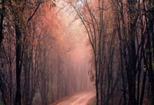 乒乓球——亚洲杯:蒯曼晋级四.