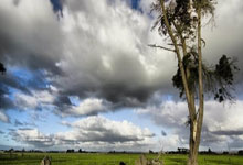 大乐透头奖7注755万6注追加 北京或爆4081万大奖.