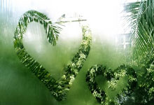 击败韩国名将!柯洁距改写中国围棋历史仅差一盘棋中新体坛.