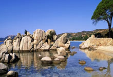 必一运动:亚足联国家队身价榜:日韩领跑 国足排名第15.